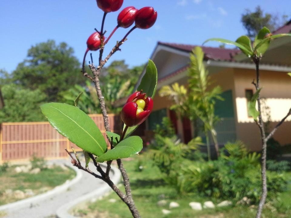 Villa De Mama Rawai Pokój zdjęcie